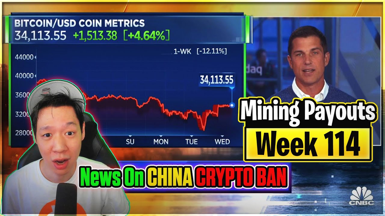 Weekly Mining Payouts 6/20/21 | Week 114