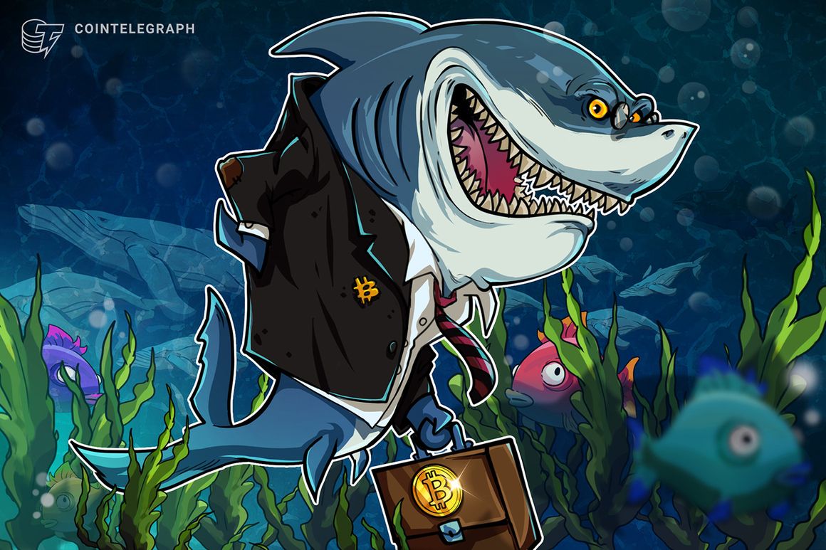 Bitcoin speculators are underwater on 88% of their BTC bags: Research