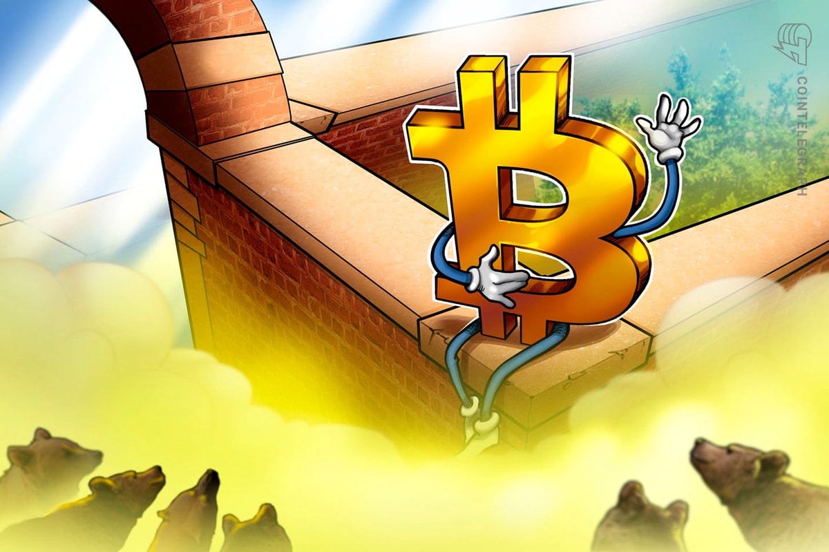 BTC shines in depths of crypto bear market