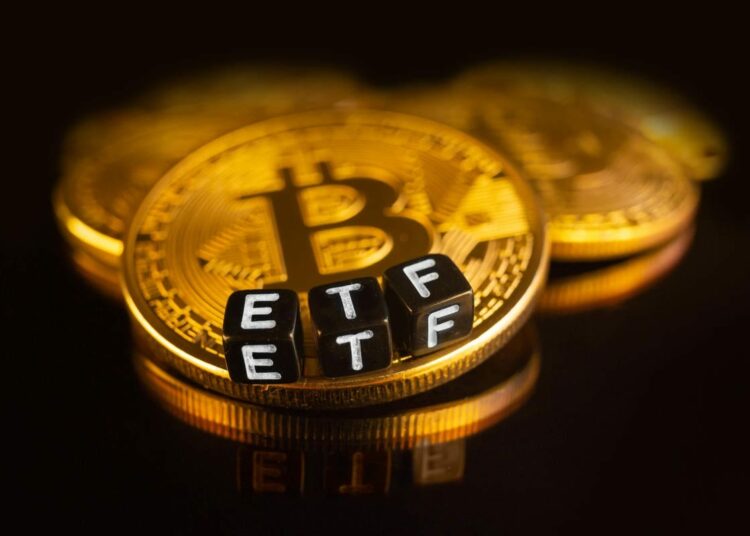 The Spot Bitcoin ETF Effect