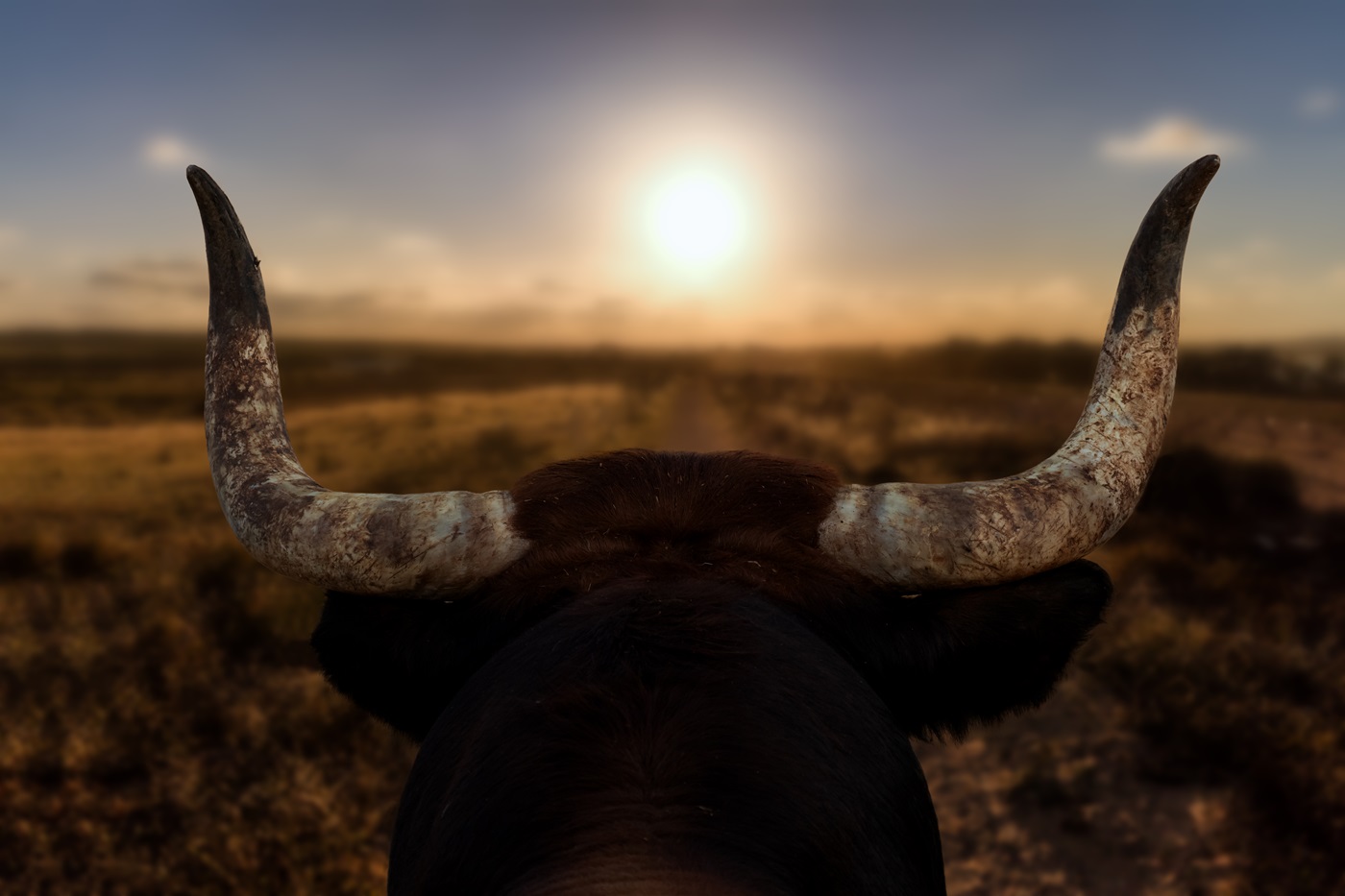 Bitcoin and crypto weekly preview