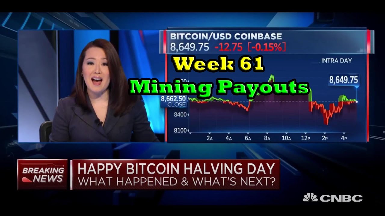 Week 61 | Mining Payouts 5/14/20