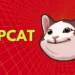 first-banner-ad