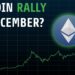 Altcoins To Surge In December | Here's What You Need To Know