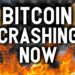 BITCOIN CRASHING NOW? Why I'm NOT worried… SuperFarm News