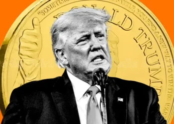 Trump Crypto Holdings Analyzing the Impact of Meme Coins on His Portfolio
