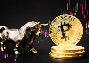 Bitcoin Bull Run On Horizon Massive Rally Between October 20th-30th!