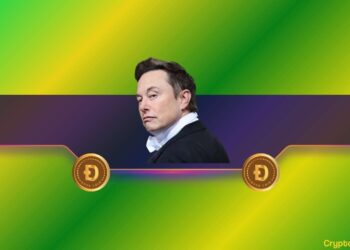 Can DOGE Soar Even Further After Elon Musk's Latest Dogecoin Interaction?