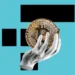 $16 Bln FTX Repayments To Begin Next Week Ready For BIGGEST BULL RUN EVER