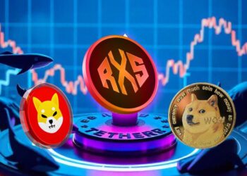 Dogecoin and Shiba Inu look like bad investments - analysts believe these 2 tokens could be a better bet