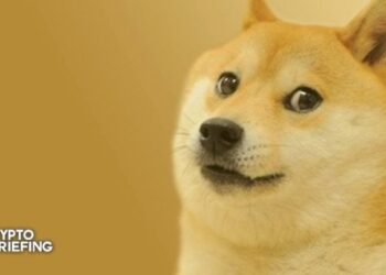 Dogecoin soars 10% as Elon Musk unveils D.O.G.E initiative in first campaign swing for Trump