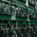 Ethiopia Boosts Bitcoin Mining Power Allocation to 600 MW