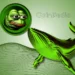 first-banner-ad