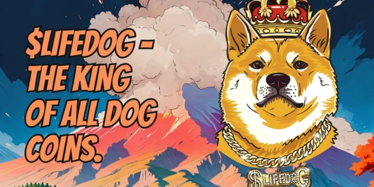 first-banner-ad