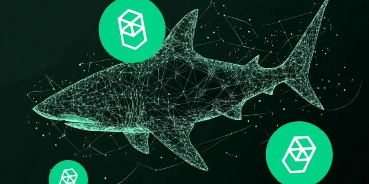 lunex-network