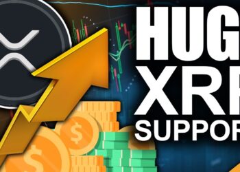 XRP Is Now a Kingdom (Banks Begging for XRP)