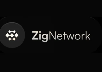zig-network