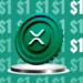 first-banner-ad