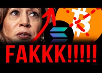 BITCOIN: NO FAKK**ING WAY!!!!!!!!!!! (post election plan)