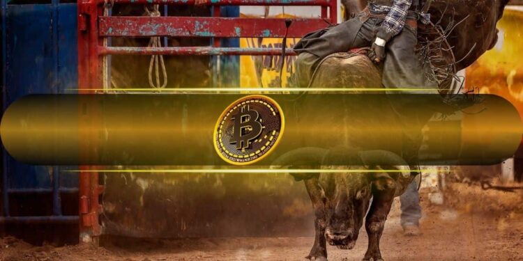Bitcoin Likely to Enter New Bull Market If This Happens: CryptoQuant
