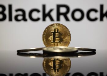 Blackrock Exec Debunks Bitcoin Myths: ‘It’s Not a Risk-on Asset’