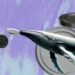 first-banner-ad