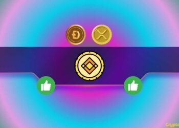 Important Binance Announcement Concerning Ripple (XRP) and Dogecoin (DOGE) Traders: Details