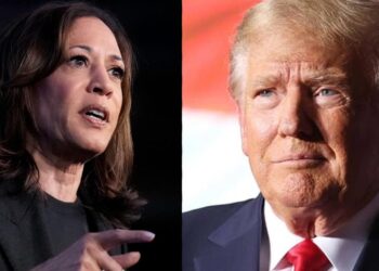 Report: Investors Pour Billions Into Bonds and Bitcoin Ahead of Election