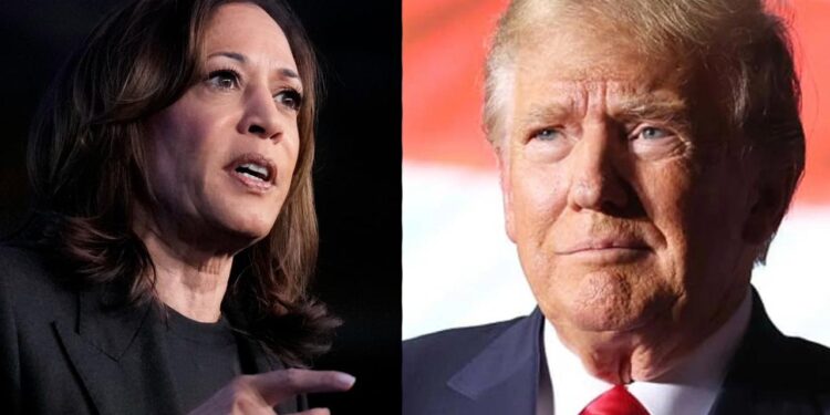 Report: Investors Pour Billions Into Bonds and Bitcoin Ahead of Election