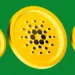 first-banner-ad