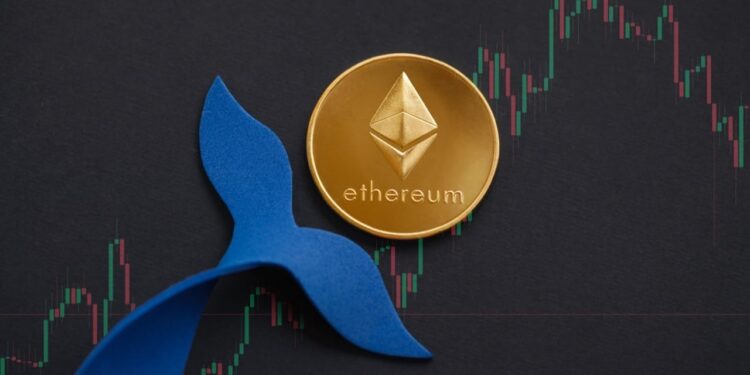 104 Whales Hold 57.35% of Ethereum: Santiment Analysis