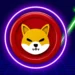 3.3 Trillion SHIB Leaves Exchanges, Are Whale Buying?