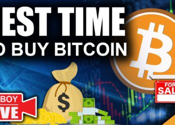 Best Time To Buy Bitcoin (Institutions Still Pouring Money In)