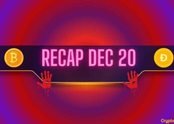 Bitcoin (BTC) Price Collapse, Meme Coin Bloodbath, and More: Bits Recap Dec 20