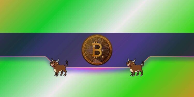 Bitcoin (BTC) Price Surge on the Horizon? This Vital Metric Suggests So