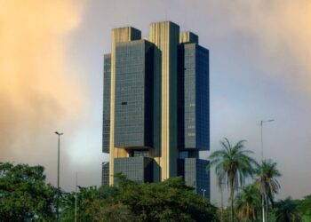 Brazilian Central Bank May Withdraw Provisions Banning Stablecoin Self-Custody