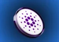 Cardano News : TVL on the ADA Network Hits $555 Million Amid Growing Whale Interest