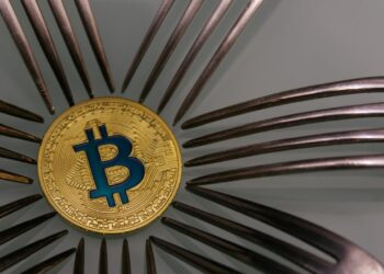 Cobra Warns of a New Bitcoin Soft Fork Next Year