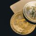 Meet Bitcoin’s Biggest Players: The Top 10 Holders Commanding Nearly 15% of the Circulating Supply