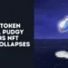 $PENGU Token Launch, Pudgy Penguins Price Collapses