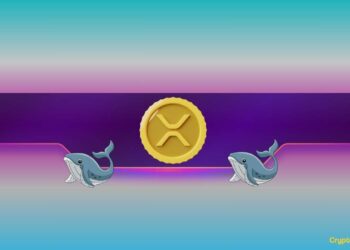 Ripple, Dogecoin Whales Bought the Dip as XRP, DOGE Prices Soar