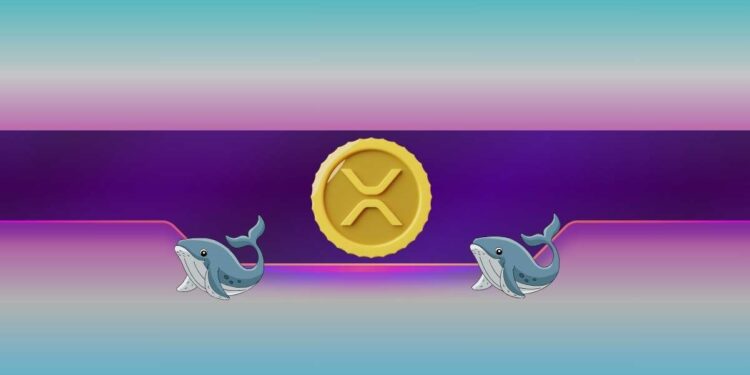 Ripple, Dogecoin Whales Bought the Dip as XRP, DOGE Prices Soar