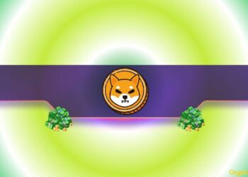 SHIB Flashes Buy Signal According to the Same Indicator That Predicted DOGE's Rebound