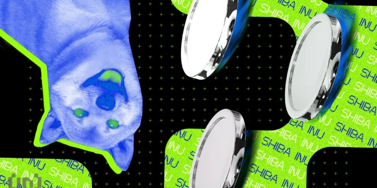 Shiba Inu’s New Encryption Step Enhances User Privacy in Expanding Shibarium