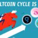 The Altcoin Cycle Is Here | It's Time To Pay Attention