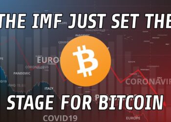 The IMF Sets The Stage For Bitcoin | A Catalyst Moment In Monetary History