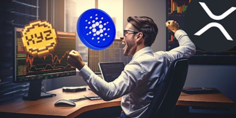 The Next Meme Coin Champion!