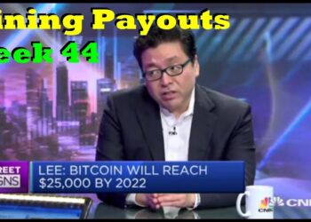 Week 44 | Mining Payouts 11/18/19