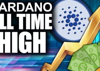 Cardano Update (ALL TIME HIGHS Are Just The Beginning)