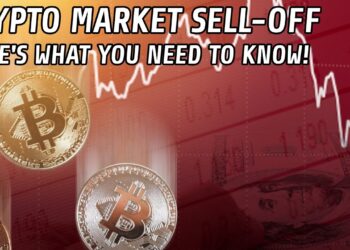 Crypto Market Panic Sells | Here's What You Need To Know